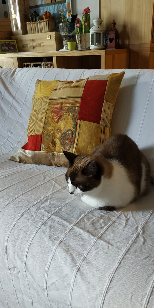 Federa Per Cuscino Effetto Seta: 50x50 Cm In Marrone, Con Cerniera