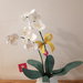 Orchidea pianta carta phalaenopsis con vaso