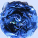 Fiore organza blu cina