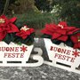 Natale - Stella di natale su slitta "buone feste"