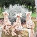 Albero di Natale shabby con corda