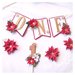 Cake Topper e Kit per feste di compleanno, a tema natale