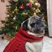 Cappottino/maglioncino rosso di lana con collo comodo ed elastico e trecce per un cane 