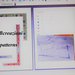 Schema punto croce 8 bordi per tovaglia PDF download cross stitch Italy