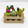 Mini cassetta di legno con 6 mini cactus a scelta