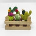Mini cassetta di legno con 6 mini cactus a scelta