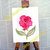 MATTOCCHIE SU TELA: flower collection - rosa