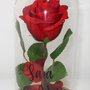 Rosa rossa "La Bella e la Bestia" in teca personalizzata con i vostri nomi!  Idea regalo San Valentino