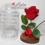 Rosa rossa "La Bella e la Bestia" in teca personalizzata con i vostri nomi e dedica a piacere! Idea regalo San Valentino