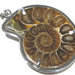 ciondolo ammonite fossile