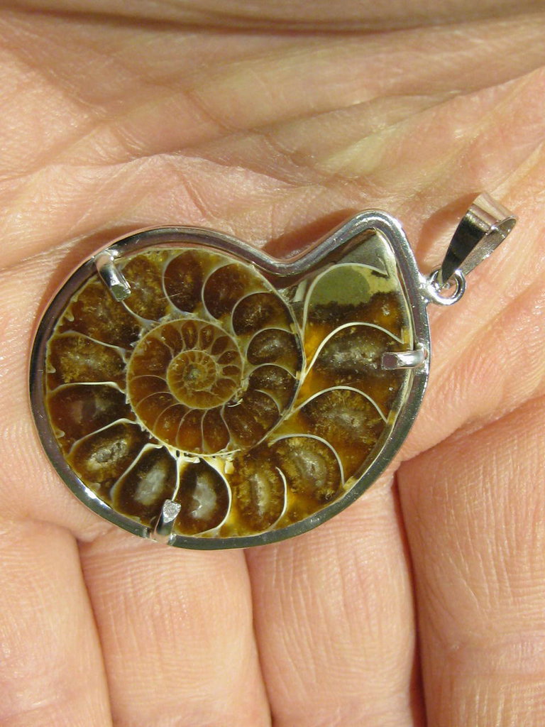 Jovivi Collana 7 Chakra Con Ciondolo Rotondo In Resina E Fossile Di Ammonite - Pietre Naturali E Corda Regolabile Portafortuna - Regalo Esoterico Unisex
