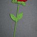 Rosa rossa a stelo lungo amigurumi