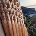 Stola in lurex handmade in capri