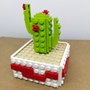 Bomboniera Cactus Rosso