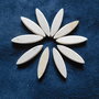 Set 10 ovali medi in legno di betulla per petali e foglie fiori stilizzati