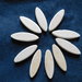 Set 10 ovali grandi in legno di betulla per petali e foglie fiori stilizzati