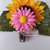 Clip  in silicone alimentare *Girasole* -ROSA-