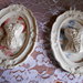 Cornicette decorative in polvere ceramica  Corsetto su cartoncino set 2 pezzi  Home Decor  per piccoli spazi