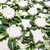 Gessetti profumati 80 segnaposto fiore verde Margherita matrimonio comunione 