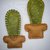 Bomboniera o Segnaposto Calamite Cactus in feltro