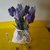 Bouquet tulipani in feltro