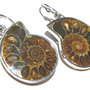 orecchini ammonite fossile