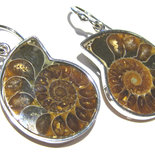 Pendente in Corallo Fossile a goccia