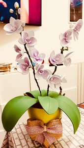 Vaso con orchidee