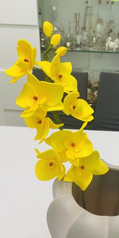 Rametto di orchidee singolo
