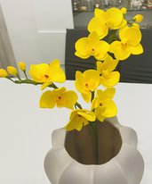 Rametto di orchidee doppio 
