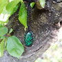 ciondolo in macrame con malachite