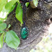 ciondolo in macrame con malachite