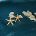 Orecchini stella marina con perle