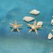 Orecchini stella marina con perle