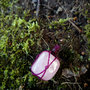 ciondolo con quarzo rosa ingabbiato