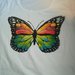 T-shirt, maglietta Farfalla colorata con ali schiuse