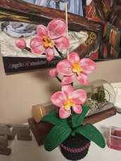 orchidea rosa all'uncinetto