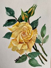 Rosa gialla ad acquerello 