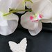 Farfalla in gesso ceramico profumato per il fai da te 