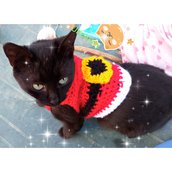 Crochet Christmas dog sweater, dog Christmas dress, crochet dress for dog and cat, dog costume, dog ideas, vestito natale cani