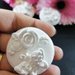 Farfalla con rose , girasole, quadrifoglio in gesso ceramico profumato per fai da te