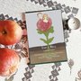 10 Inviti matrimonio con illustrazione personalizzata + regalo 