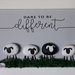 Pecore di sasso con Black sheep e frase "Dare to be different"