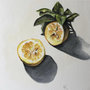 Limone, acquerello 31x23