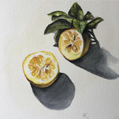 Limone, acquerello 31x23