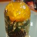 Lampada a forma di bottiglia con gerbera gialla e pigne