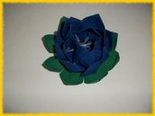 Fiore di Loto blu