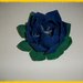 Fiore di Loto blu