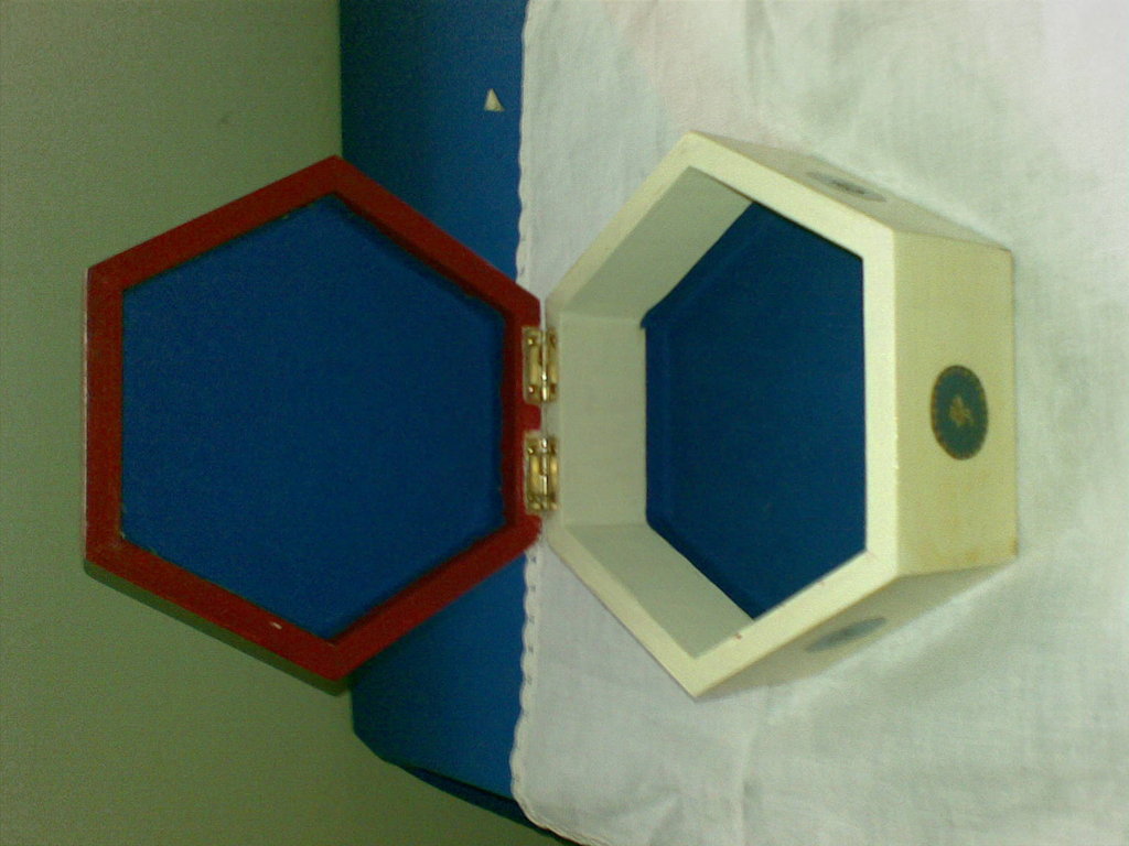 Recinto Esagonale Per Cuccioli Extra Alto - 122cm, Con Cuscinetto Assorbente, Pieghevole - Foto 2