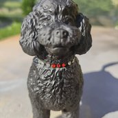 Statua cane barboncino in resina nero opaco